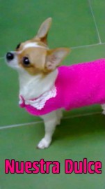 Dulce